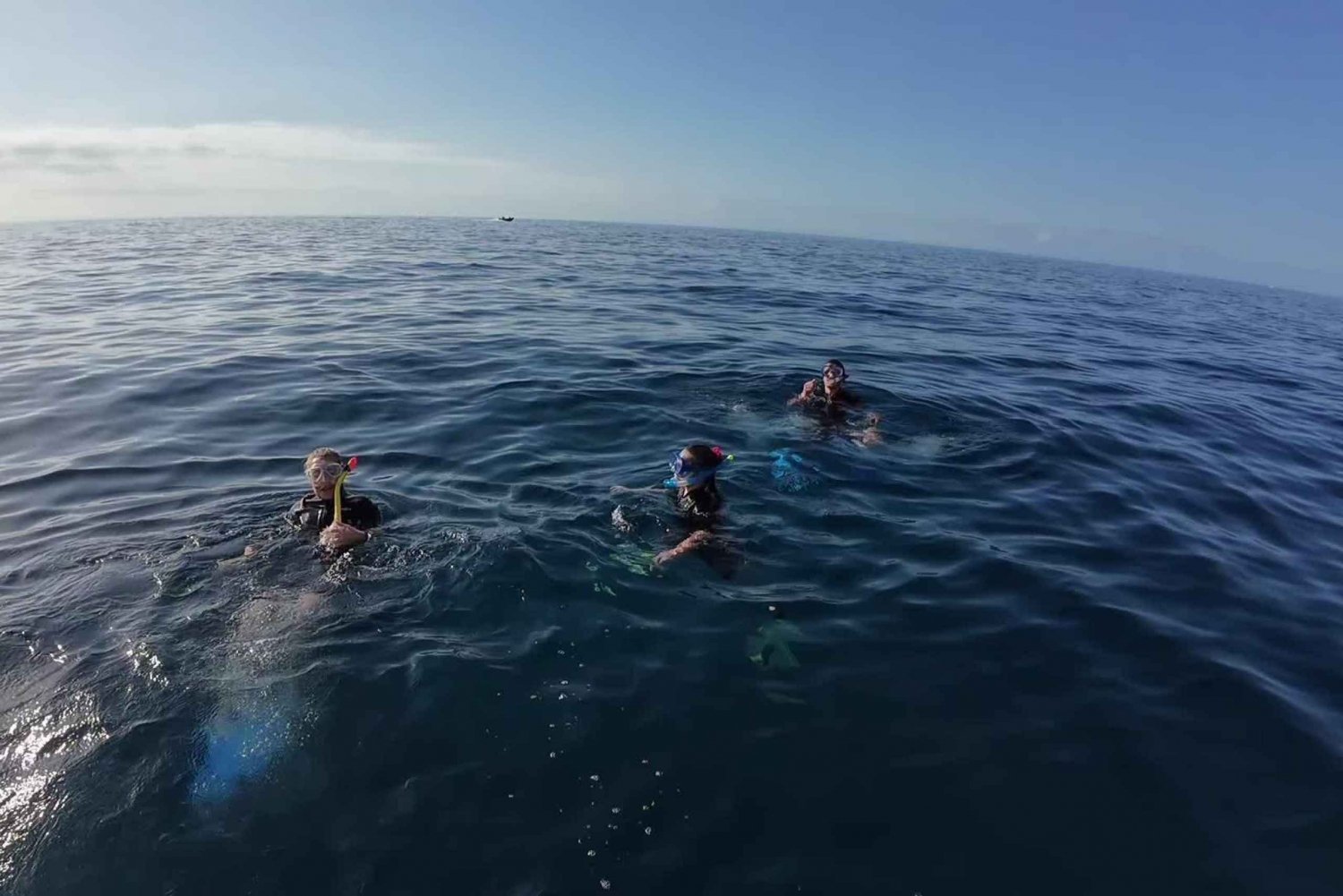 Triple Thrill: Snorkeling, Diving, & Boat Tours in Tenerife