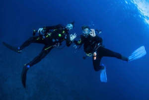 Anfängertauchgang mit Scubapoint Teneriffa im Schildkrötengebiet