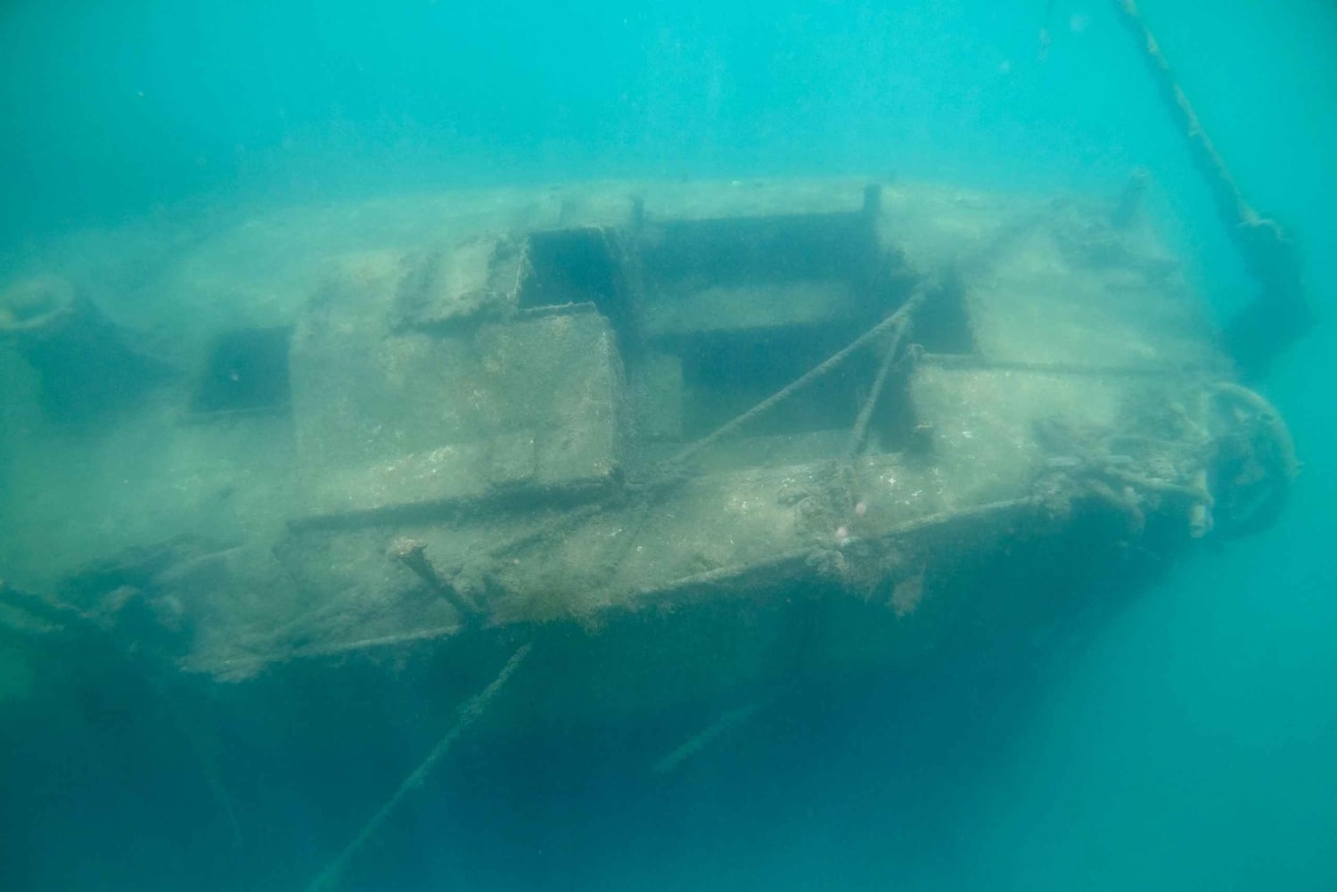 Experimente mergulhar pela primeira vez na área das tartarugas