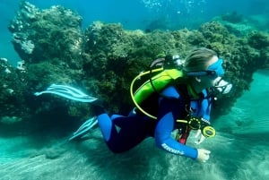 Try diving for the first time in turtle area