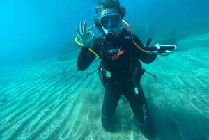 Experimente mergulhar pela primeira vez na área das tartarugas