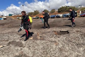 Experimente mergulhar pela primeira vez na área das tartarugas