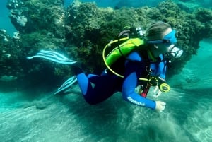 Experimente mergulhar pela primeira vez na área das tartarugas