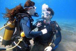 Underwater Tenerife - personalized scuba diving experience