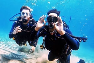 Underwater Tenerife - personalized scuba diving experience