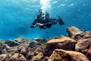 Underwater Tenerife - personalized scuba diving experience