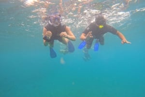 Unforgettable snorkeling tours with turtles