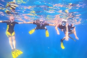 Unforgettable snorkeling tours with turtles