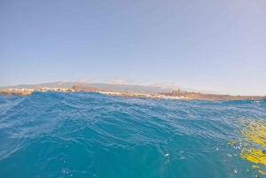 Indimenticabili tour di snorkeling con le tartarughe