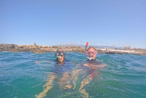 Indimenticabili tour di snorkeling con le tartarughe