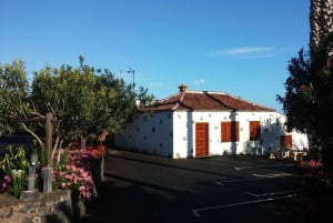 Dolina Tegueste: Wycieczka winiarska z degustacją w winiarni El Lomo