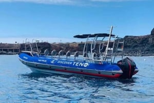 ТУР НА VESPA TENERIFE+ПОСЕЩЕНИЕ НА ЛОДКЕ LOS GIGANTES CLIFS+КУПАНИЕ+ОБЕД