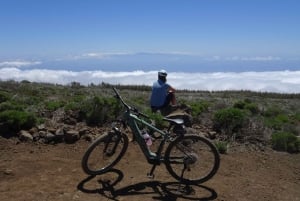 Vilaflor Off-Road - EMTB/MTB Tour