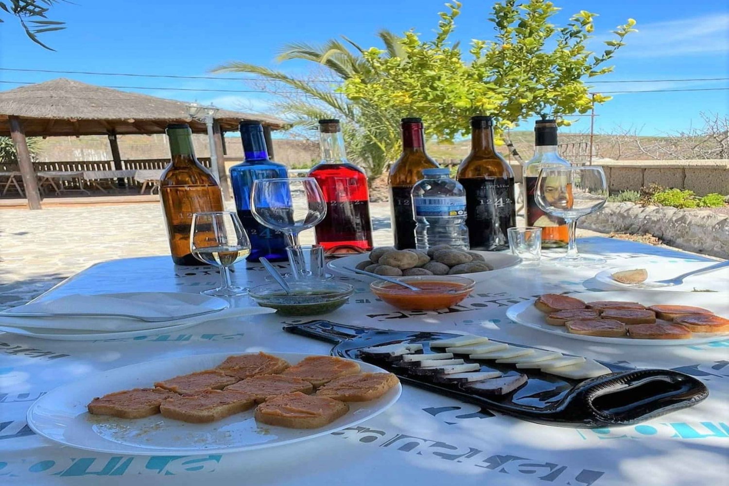 Tenerife: Wine tasting with tapas, Teide at sunset (shared)