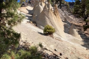 Teneriffa: Wonderful Day Hike Pasaje Lunar