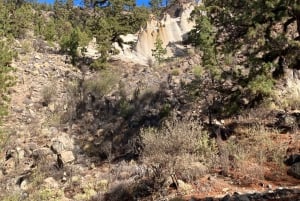 Teneriffa: Wonderful Day Hike Pasaje Lunar