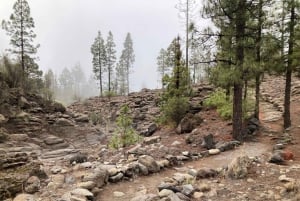 Teneriffa: Wonderful Day Hike Pasaje Lunar
