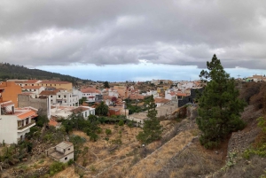 Teneriffa: Wonderful Day Hike Pasaje Lunar