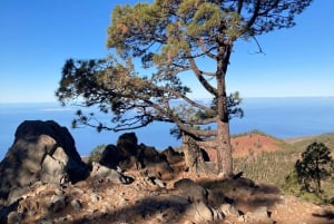 Teneriffa: Wonderful Day Hike Pasaje Lunar