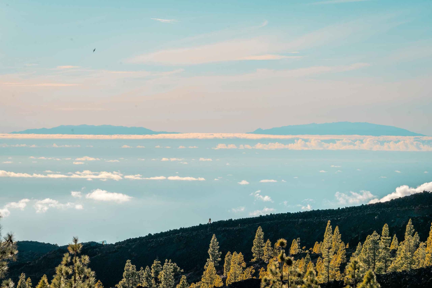 Vip Eco Tours Masca Y Teide