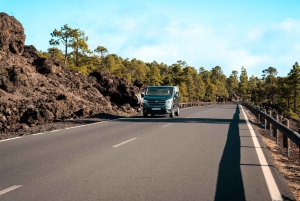 Vip Eco Tours Masca Y Teide