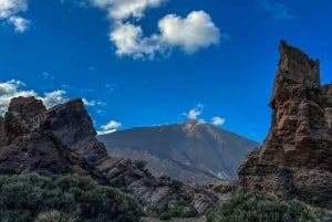 Vip Eco Tours Masca Y Teide