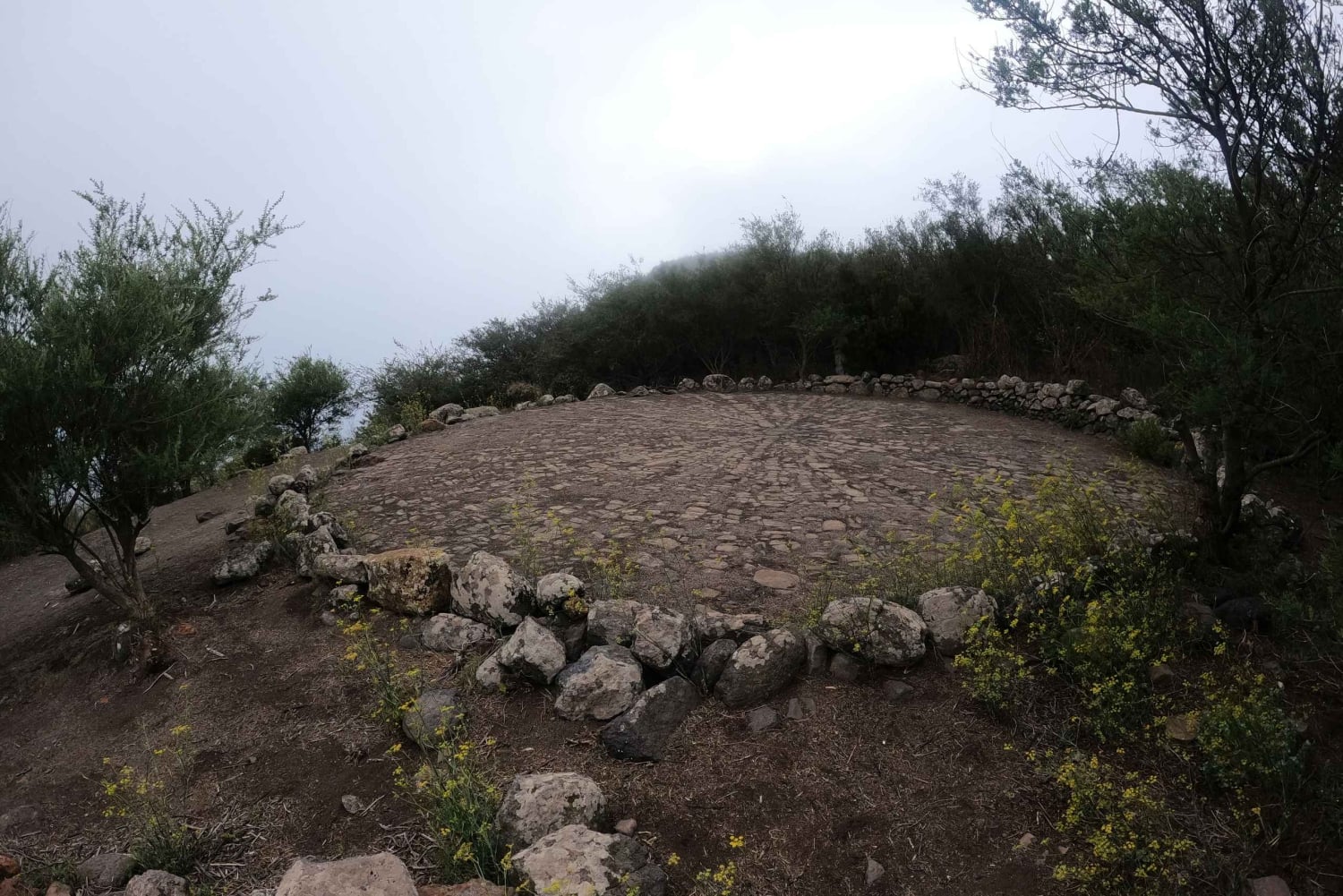 Vulkane, Weinberge und Lorbeerwälder – Santiago del Teide
