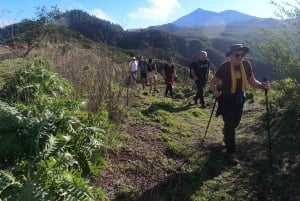 Vulkane, Weinberge und Lorbeerwälder – Santiago del Teide