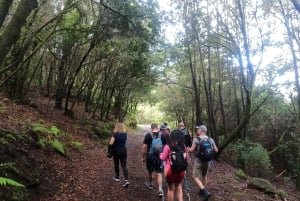 Vulkane, Weinberge und Lorbeerwälder – Santiago del Teide