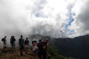 Vulkane, Weinberge und Lorbeerwälder – Santiago del Teide