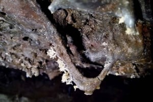 Espeleología volcánica Cueva de Las Palomas (ES-EN)