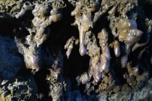 Espeleología volcánica Cueva de Las Palomas (ES-EN)