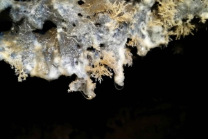 Espeleología volcánica Cueva de Las Palomas (ES-EN)