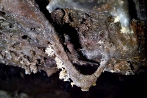 Espeleología volcánica Cueva de Las Palomas (ES-EN)