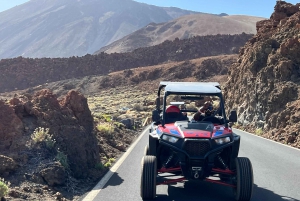 Volcano Teide: Buggy Tour with Wine Tasting & Tapas