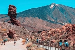 Volcano Teide National Park in a Small Group by Bus