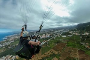 Paragliding in Puerto de la Cruz