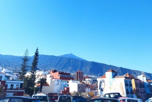 Walking route Icod de los Vinos 1:30h