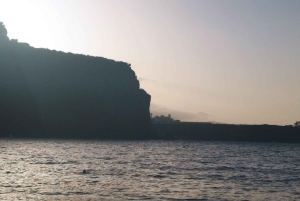 Walking route Icod de los Vinos 1:30h