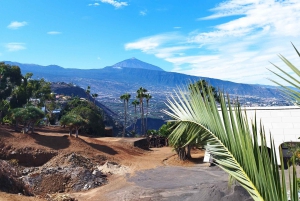 Walking route Icod de los Vinos 1:30h