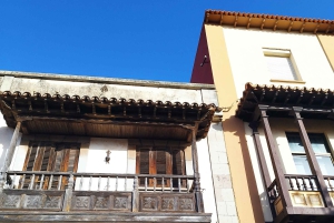 Walking route Icod de los Vinos 1:30h