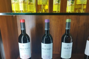 Walking route Icod de los Vinos 1:30h