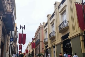 Guided walking tour in La Orotava,Tenerife