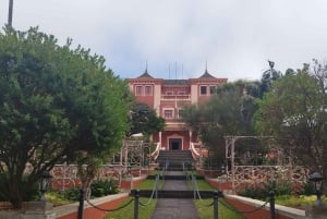 Guided walking tour in La Orotava,Tenerife