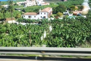 Walking tour in Garachico (1:30 h)