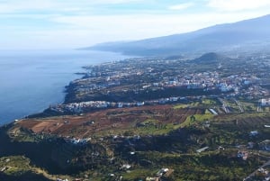 Walking tour in Garachico (1:30 h)