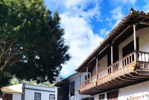 Walking tour in Garachico (1:30 h)