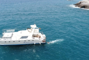  Whale and Dolphin Watching Small Group Catamaran