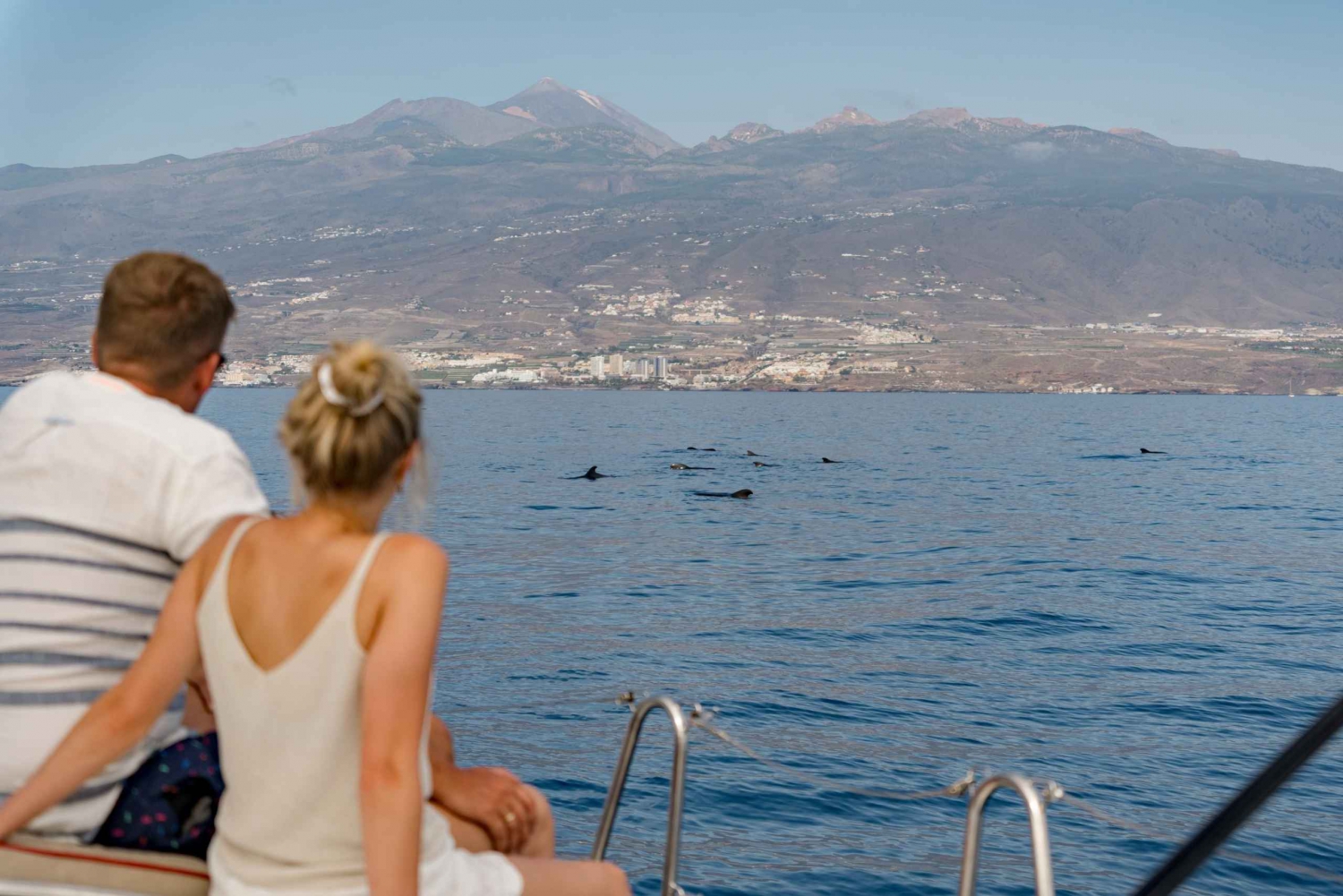 Hval- og delfinsafari med yacht i Puerto Colon
