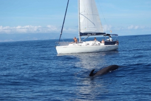 Best excursions in Tenerife